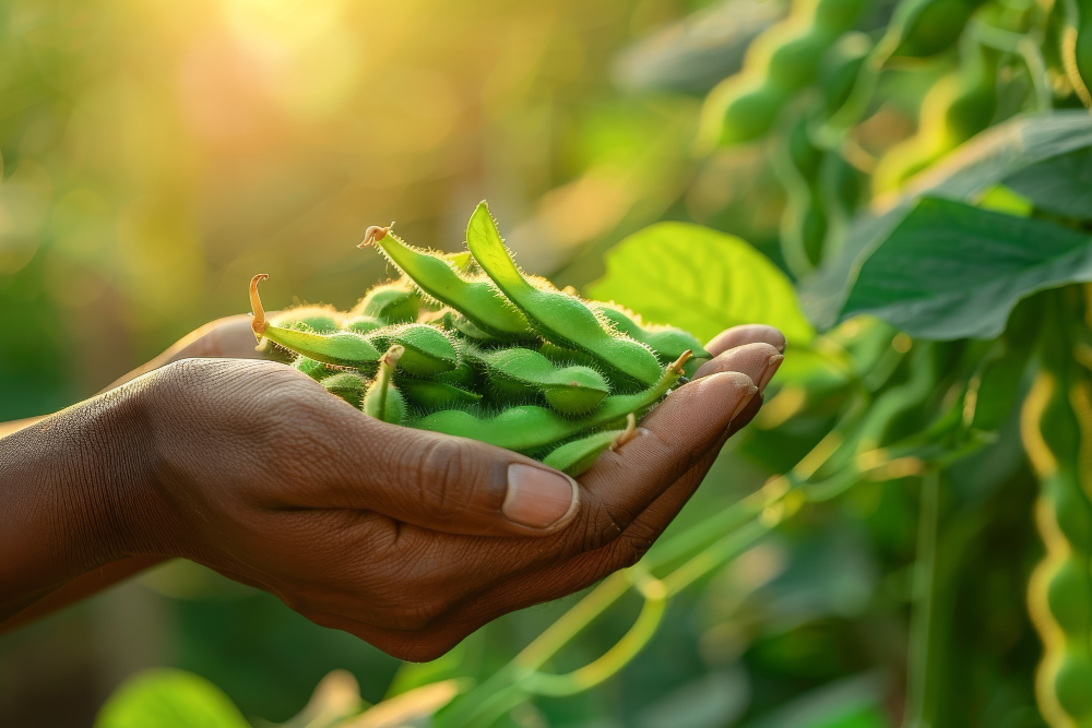 Insumos e Produtos para Agro