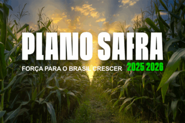 Plano Safra 2025/2026: R$ 516,2 Bilhões