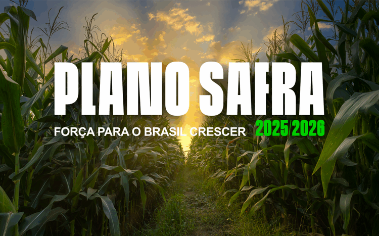 Plano Safra 2025/2026: R$ 516,2 Bilhões