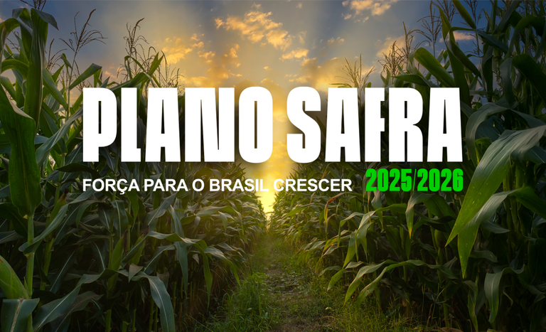 Plano Safra 2025/2026: R$ 516,2 Bilhões